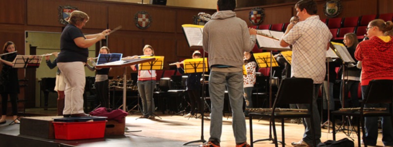 Youth Ensemble Conductor