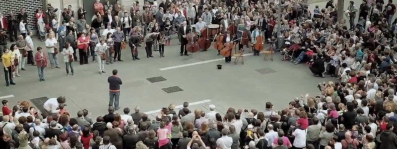 Stephen P Brown loves Orchestra Flash Mobs