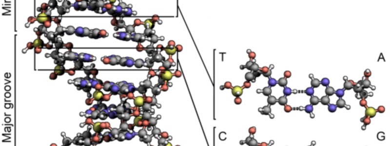 British American Conductor Composer Maestro Stephen P Brown how to compose classical music